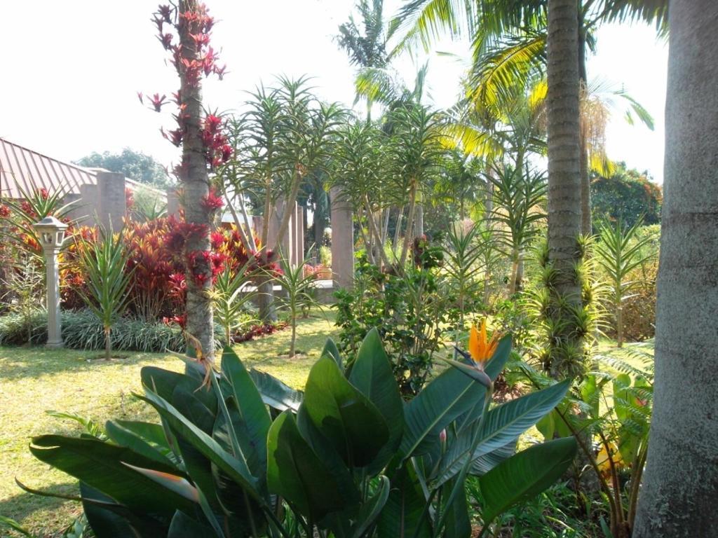 Ku De Ta B&B ไวท์ริเวอร์ ภายนอก รูปภาพ