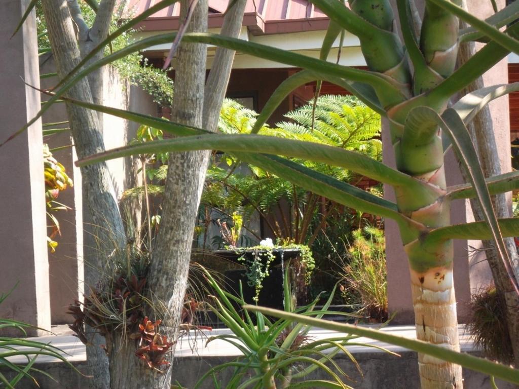 Ku De Ta B&B ไวท์ริเวอร์ ภายนอก รูปภาพ