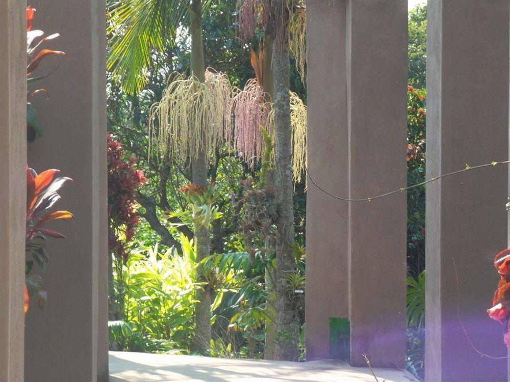 Ku De Ta B&B ไวท์ริเวอร์ ภายนอก รูปภาพ